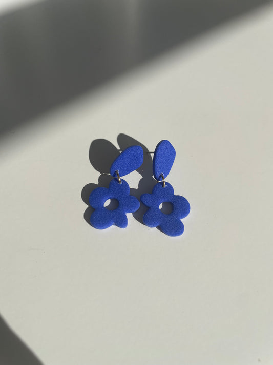 Loretxo azul eléctrico