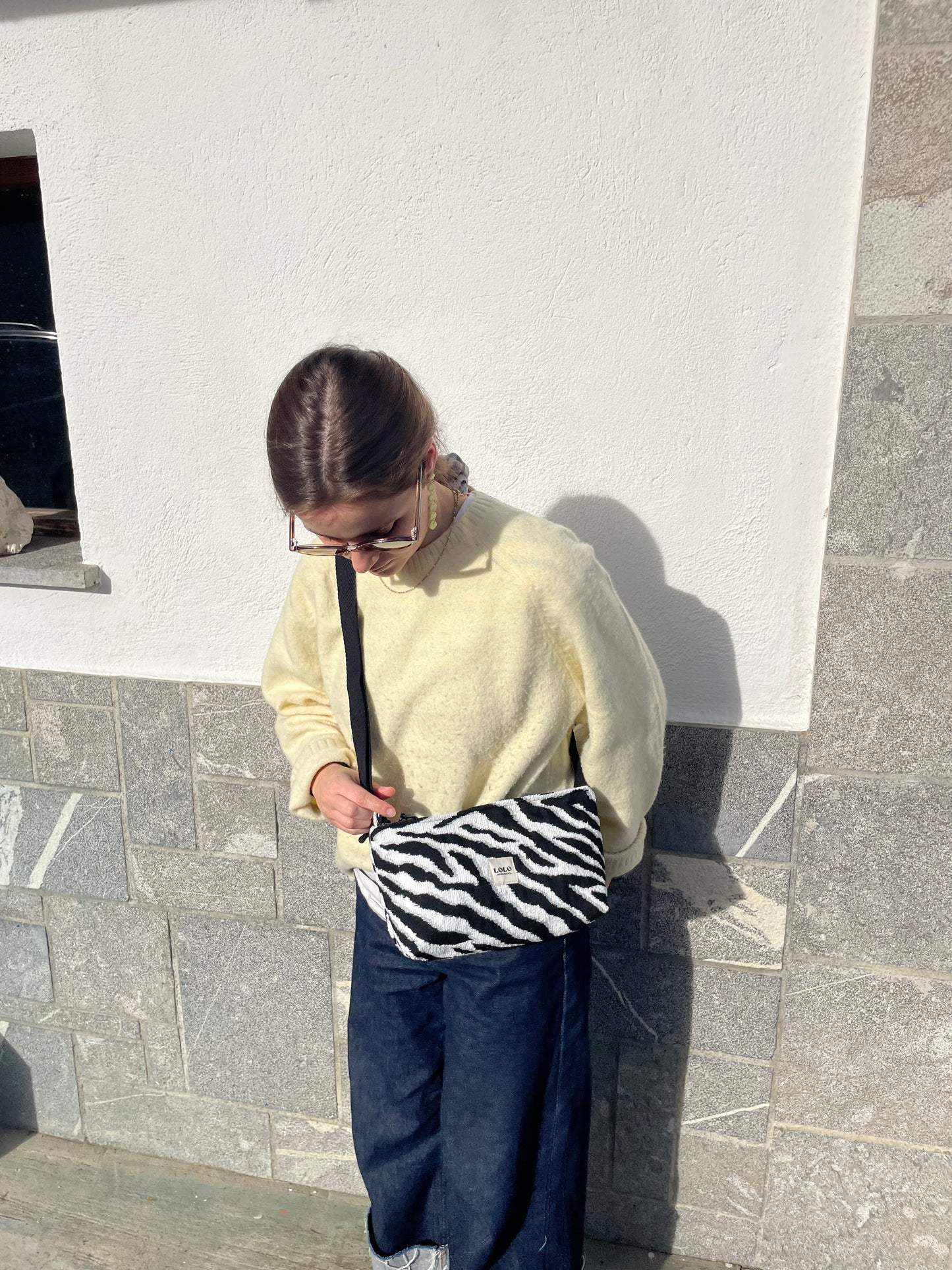 Bolso rectangular cebra
