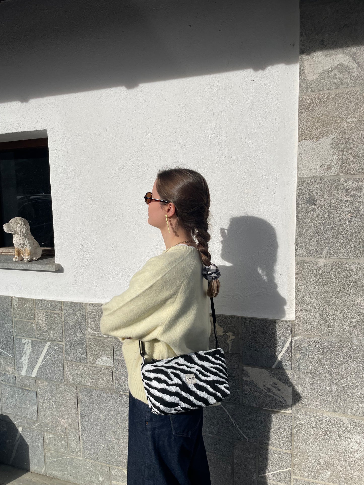 Bolso rectangular cebra