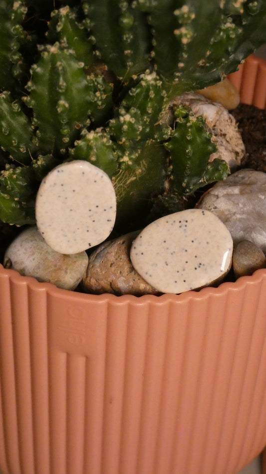Piedra birutas